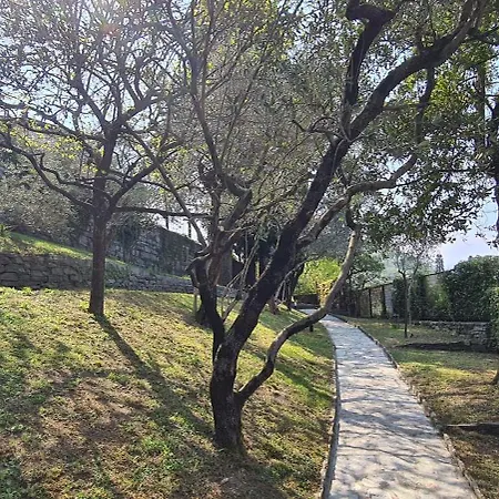 Gli Ulivi Chalten Appartement
